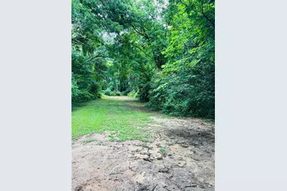 14 Hamilton Bohannon Drive, Newnan, GA 30263 - Photo 3