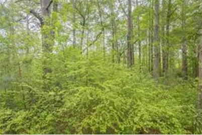 2939 Lake Sorrento Court, Conyers, GA 30012 - Photo 25