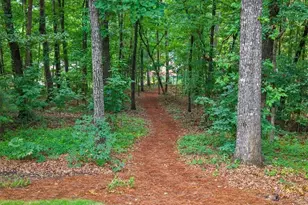9040 Walnut Cove Ct, Gainesville, GA 30506 - Photo 43