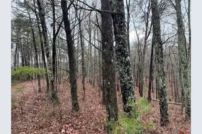 1450 Hanna Drive, Ranger, GA 30734 - Photo 9