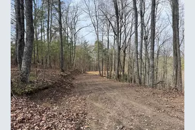1450 Hanna Drive, Ranger, GA 30734 - Photo 15