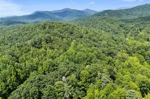 218 Hester Gap Rd, Cleveland, GA 30528 - Photo 41