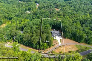 87 Whisper Pl, Jasper, GA 30148 - Photo 9