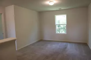 386 Village Creek Dr Dr, Chatsworth, GA 30705 - Photo 15