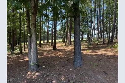 1130 Irish Hill Drive, Concord, GA 30206 - Photo 33