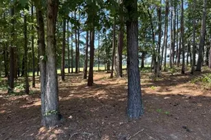 1130 Irish Hill Dr, Concord, GA 30206 - Photo 33