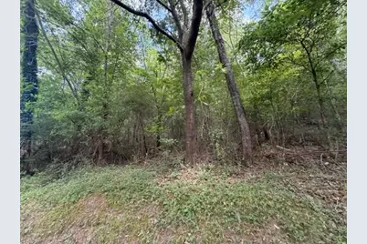 280 Nixon Road, Summerville, GA 30747 - Photo 3