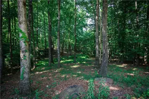 1040 Hillary Ln, Lawrenceville, GA 30043 - Photo 49