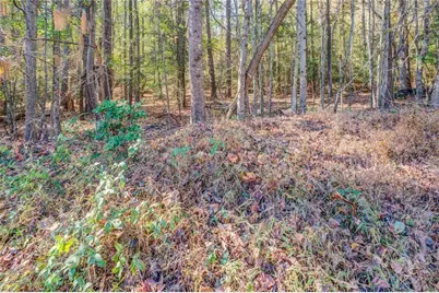 1480 River Station Drive, Lawrenceville, GA 30045 - Photo 5