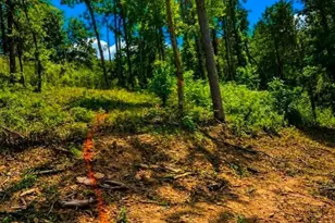 [Address not provided], Marble Hill, GA 30148 - Photo 1