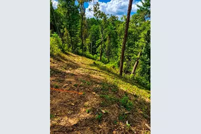 [Address not provided], Marble Hill, GA 30148 - Photo 5