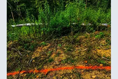 [Address not provided], Marble Hill, GA 30148 - Photo 7