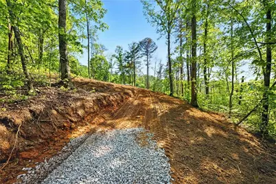 0 Dell Moore, Lot 3 Road, Marble Hill, GA 30148 - Photo 3