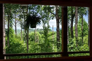 290 Graham Ct, Ellijay, GA 30540 - Photo 59