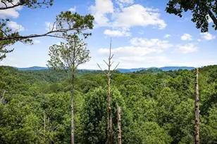 290 Graham Ct, Ellijay, GA 30540 - Photo 61