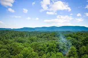 290 Graham Ct, Ellijay, GA 30540 - Photo 57