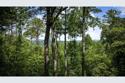 290 Graham Court, Ellijay, GA 30540 - Photo 3