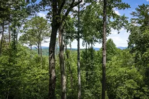 290 Graham Ct, Ellijay, GA 30540 - Photo 3