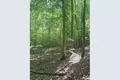 00 Benson Road, Dallas, GA 30132 - Photo 3