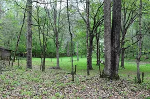 385 Vaughn Rd, Newnan, GA 30265 - Photo 55