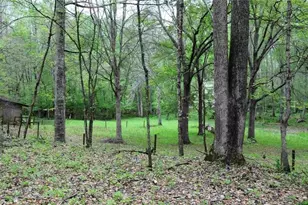 385 Vaughn Rd, Newnan, GA 30265 - Photo 55