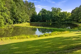 4275 Owltown Rd, Ellijay, GA 30536 - Photo 7