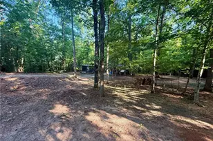 1125 Pecks Rd, Dahlonega, GA 30533 - Photo 23