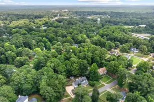 141 Sherrell's Frd Dr, Senoia, GA 30276 - Photo 63