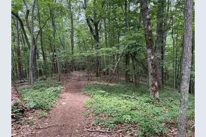 46 Norton Lane, Dahlonega, GA 30533 - Photo 5