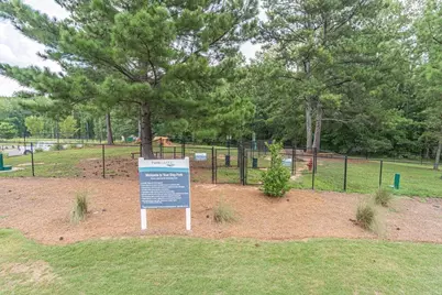 604 Redfish Way, Hoschton, GA 30548 - Photo 33