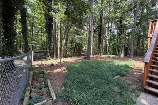 435 Lower Burris Rd, Canton, GA 30114 - Photo 39