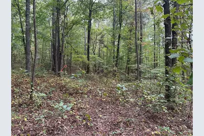 3834 Salacoa-Tract B, Waleska, GA 30183 - Photo 5