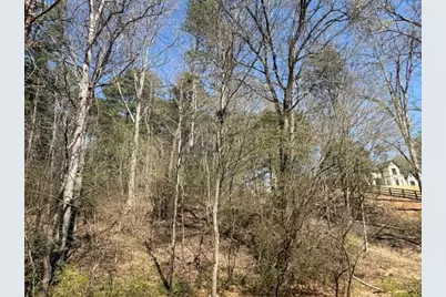 Lot 0 Jack Pittman Road, Dacula, GA 30019 - Photo 5