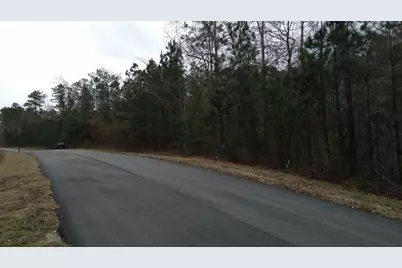 1860 Northwoods Drive, Greensboro, GA 30642 - Photo 7