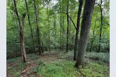 7911 Belton Bridge Road, Lula, GA 30554 - Photo 39