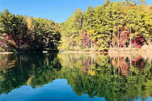 309 Feather Perch, Waleska, GA 30183 - Photo 49