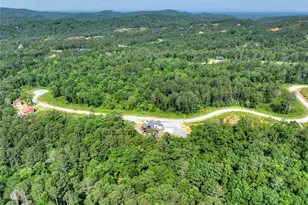 279 Shallow Water Trail, Talking Rock, GA 30175 - Photo 61