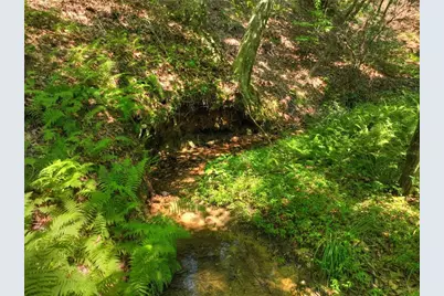 279 Shallow Water Trail, Talking Rock, GA 30175 - Photo 59