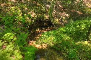 279 Shallow Water Trail, Talking Rock, GA 30175 - Photo 59