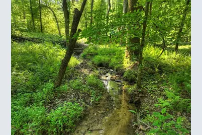 279 Shallow Water Trail, Talking Rock, GA 30175 - Photo 3