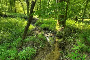 279 Shallow Water Trail, Talking Rock, GA 30175 - Photo 3