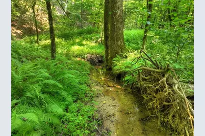 279 Shallow Water Trail, Talking Rock, GA 30175 - Photo 67
