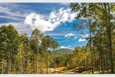 279 Shallow Water Trail, Talking Rock, GA 30175 - Photo 79