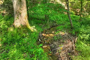 279 Shallow Water Trail, Talking Rock, GA 30175 - Photo 61