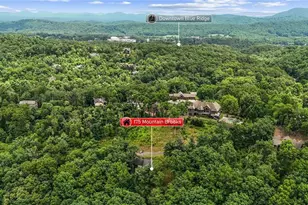 175 Mountain Brooks Road, Blue Ridge, GA 30513 - Photo 5