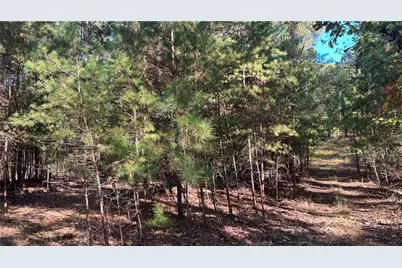 3455 Little Refuge Road, Waleska, GA 30183 - Photo 3