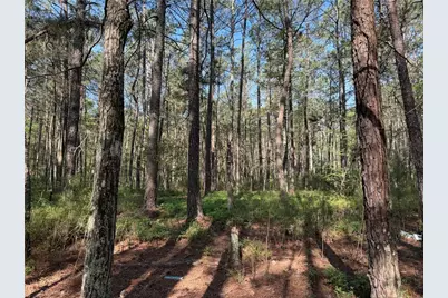 0 Clear Lake Drive, Adairsville, GA 30103 - Photo 33