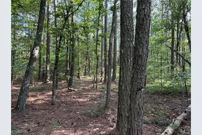 0 Clear Lake Drive, Adairsville, GA 30103 - Photo 13