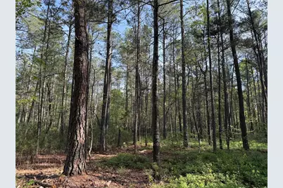0 Clear Lake Drive, Adairsville, GA 30103 - Photo 7