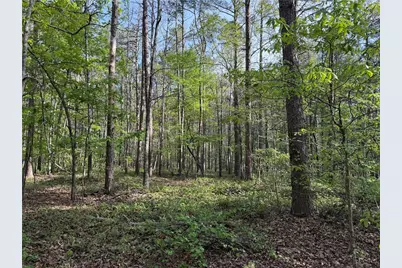 0 Clear Lake Drive, Adairsville, GA 30103 - Photo 27